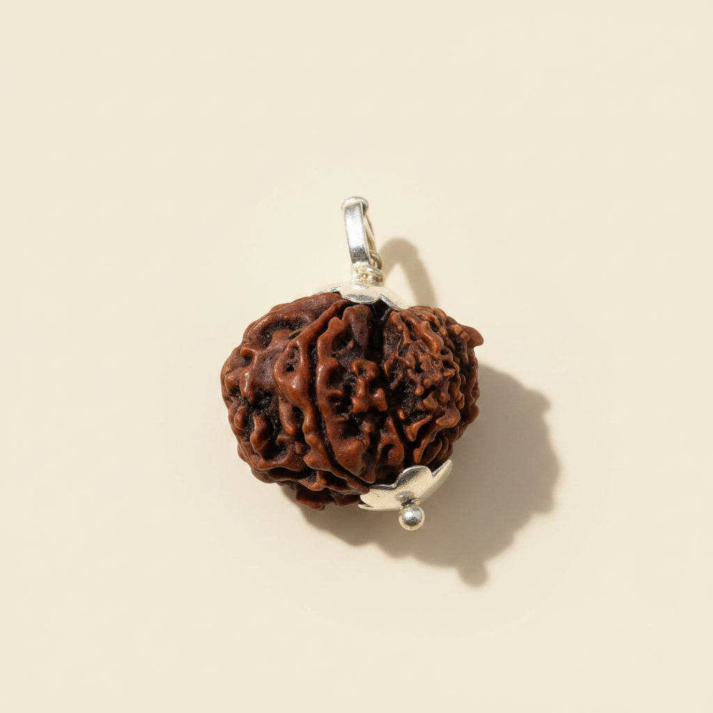 Garbh Gauri Rudraksha (Nepali)