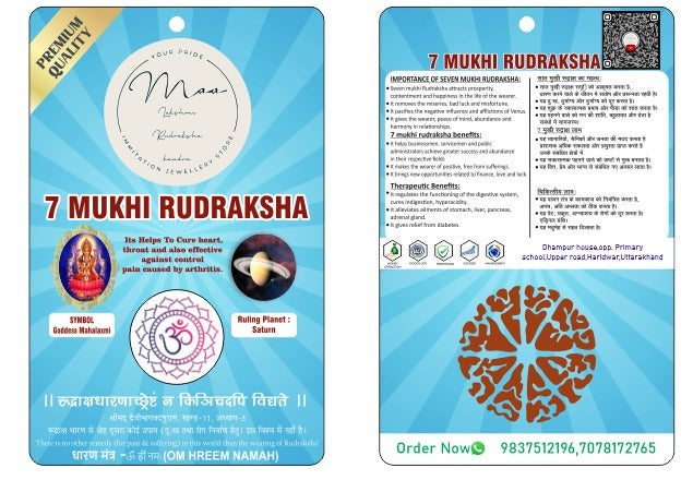 Natural 7 Mukhi Rudraksha