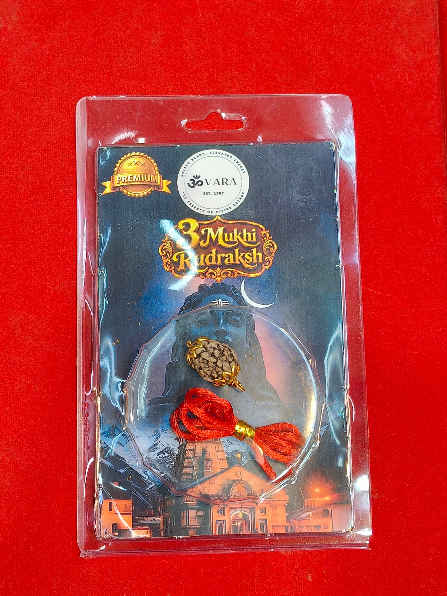 Natural 3 Mukhi Rudraksha