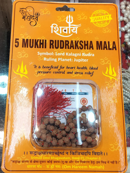 Rudraksha Mala (108+1 beads)
